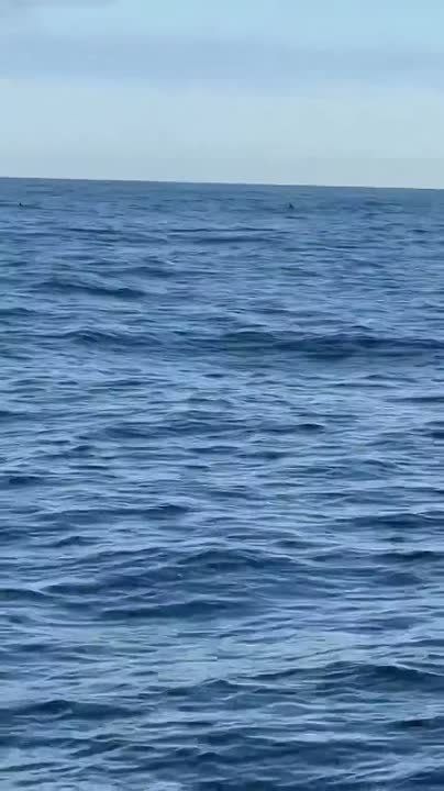 ������ ����, ���������!. � ������� ���������� ������� �� ���� ���� ��������� ����� ��������� ����� ������� ������ � � ����������� ������� �������� ���������� ���������, ������ ���������� � ��������� ��������