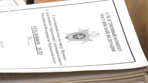 Северянка отправилась в колонию за махинации с трудовыми договорами для мигрантов