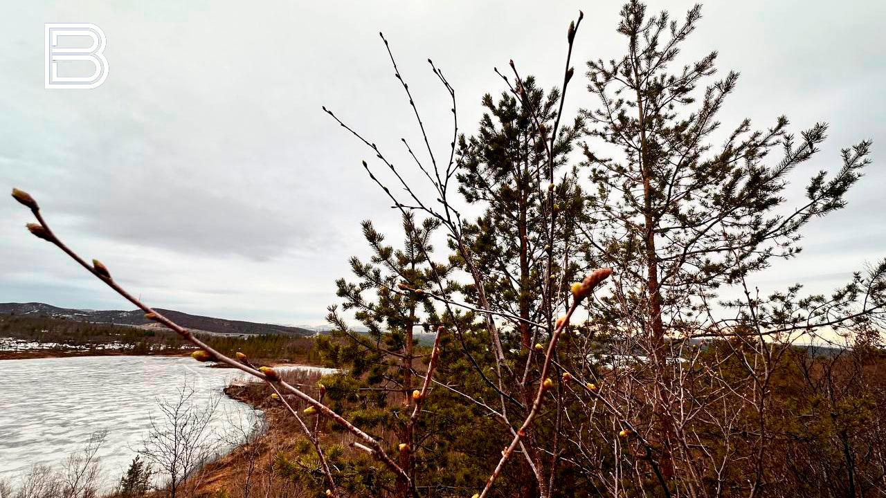 Сухую и прохладную погоду принесет антициклон в Мурманскую область 8 апреля