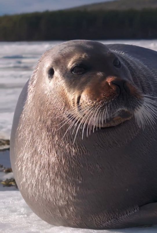 ������ ����, ���������!. ������ ���� � �������� ������ �� ������ ����, ��� ������� ���� ���������� �� ������ � ����� ������