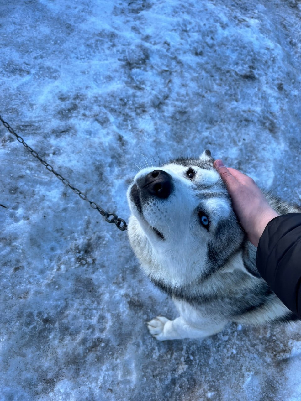«Я обязательно вернусь!». Учитель-блогер из Великого Новгорода Алексей Бибило впервые побывал в Мурманской области и поделился эмоциями от поездки «Я обязательно вернусь!». Учитель-блогер из Великого Новгорода Алексей Бибило впервые побывал в Мурманской области и поделился эмоциями от поездки