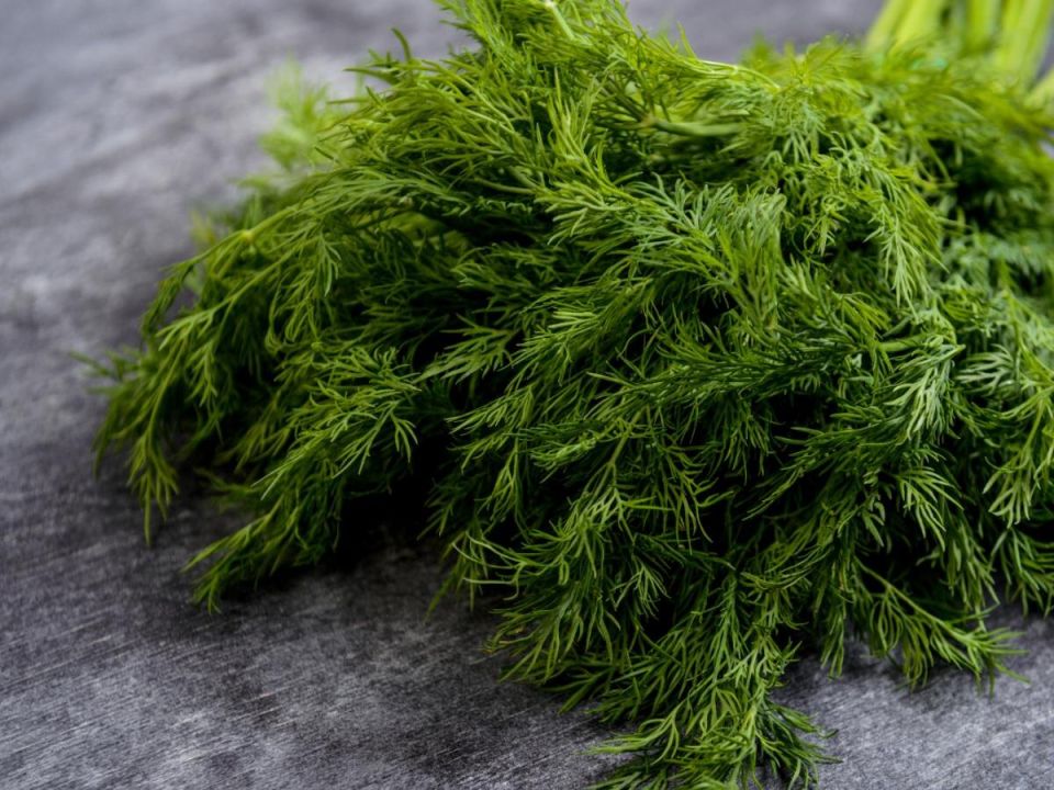 ����� �� ����� �������: ������� ������������� � �����