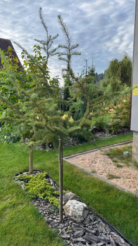 ������� ������: ������� ������� ��� ����������� ��������