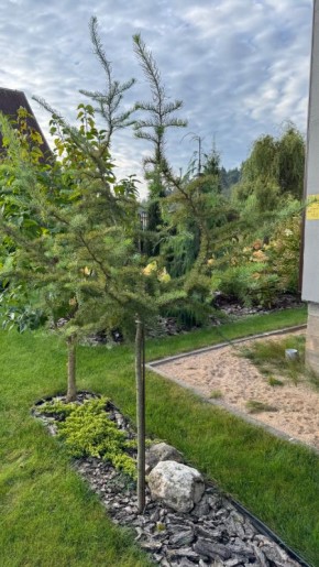 ������� ������: ������� ������� ��� ����������� ��������