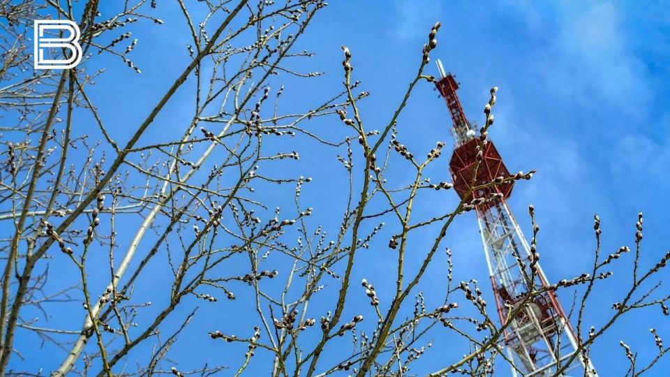 �� ������ ����������� ��������������, 9 ������ � �������� ��������� ��������� ���������� ����������