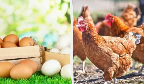 ��� ��������� ��������� ���, ����� �������� ������� ����