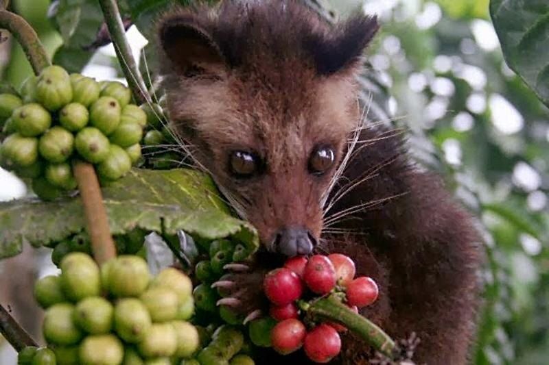 ���������: ����� ��������� ������������ � �������������� ��������