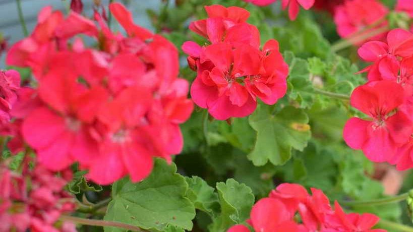 ��� ���������� ���������� � ��������� �������� ���: 4 ������� ���� � ������