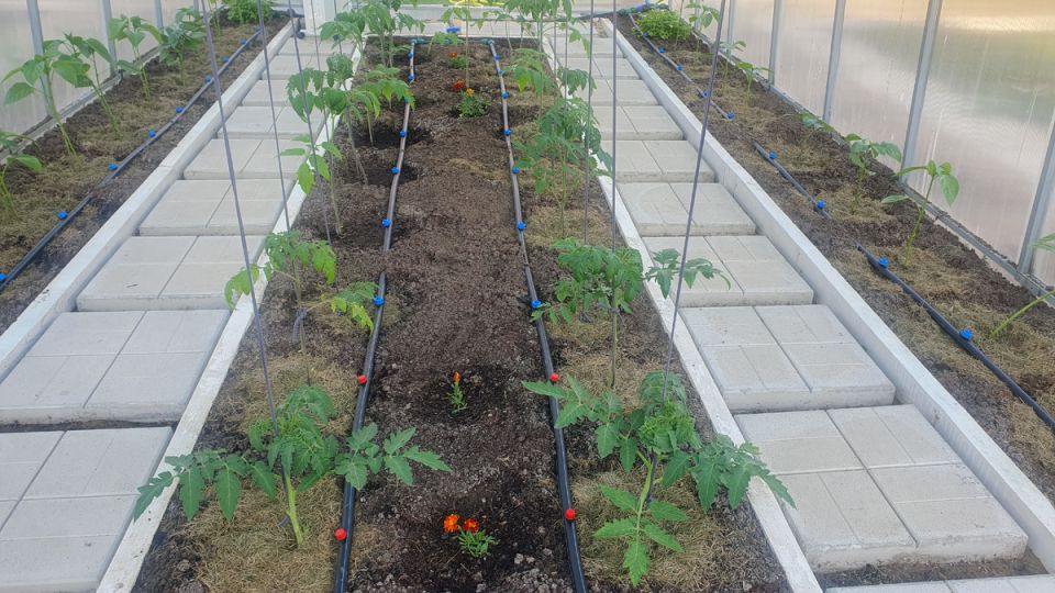 ��������� �����: ����� �� ��� ������������� � ��������?