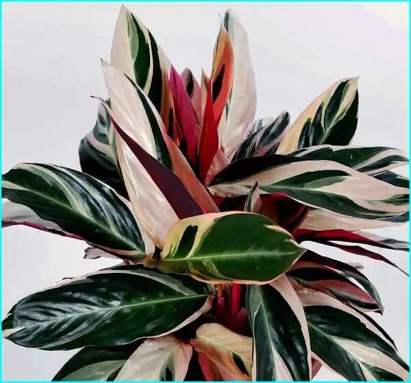 ���������: ��� ������������ ��������� �������� ���� ����������