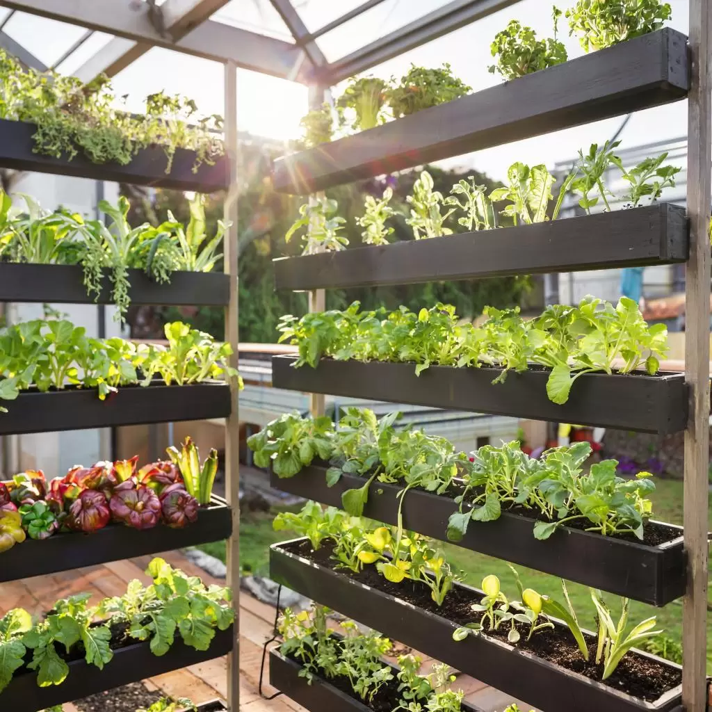 Вертикальные грядки: как оптимизировать пространство и увеличить урожай на маленьком участке