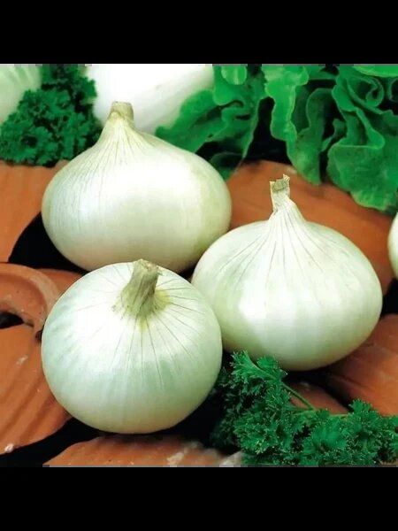 ��� ������: ����������� ����� � ���������� ������