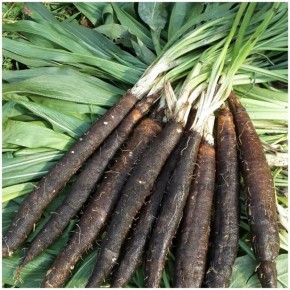 ����� �� �������: ��� �������� �������� �������� ��� ������