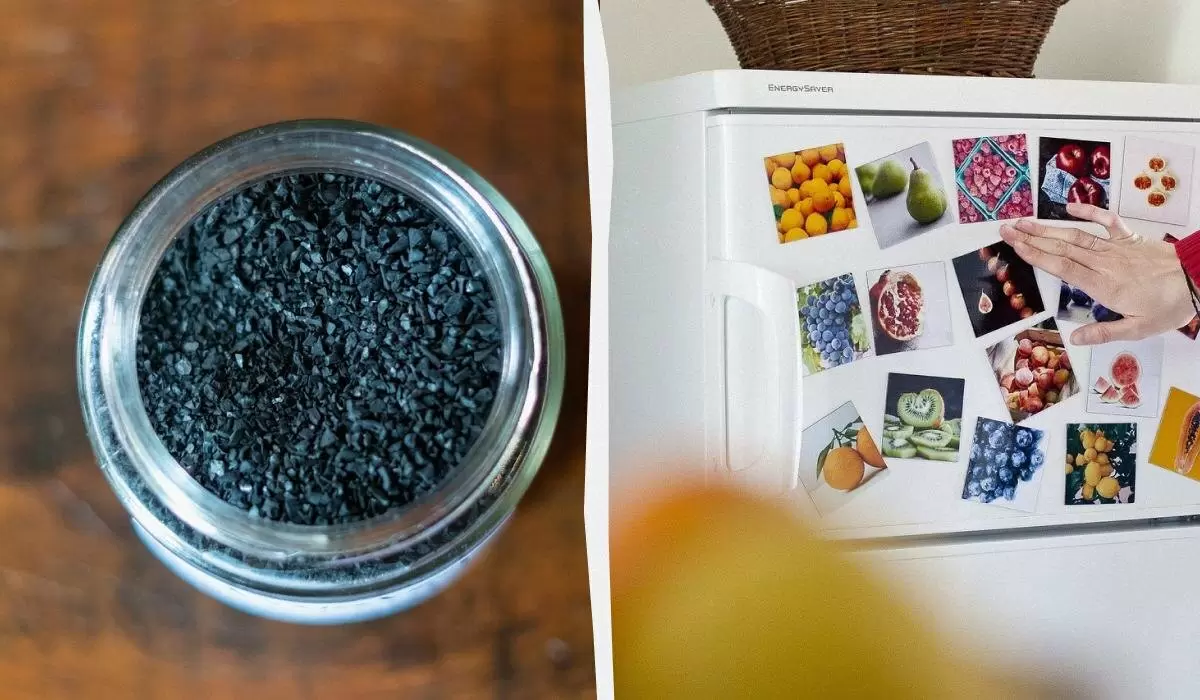 Лайфхак для холодильника: простое решение проблем с неприятными запахами