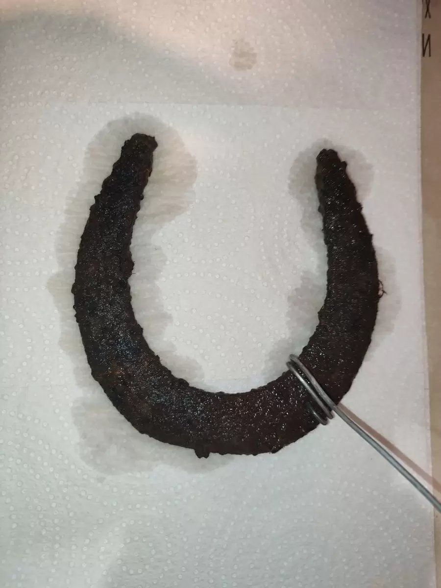 Восстановление металла с помощью электролиза: оригинальный подход к борьбе с ржавчиной