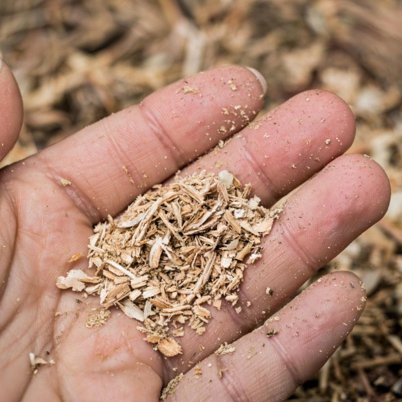 �������� ����� ���������: 10 ������������ �������� ������������� ������ � �����������