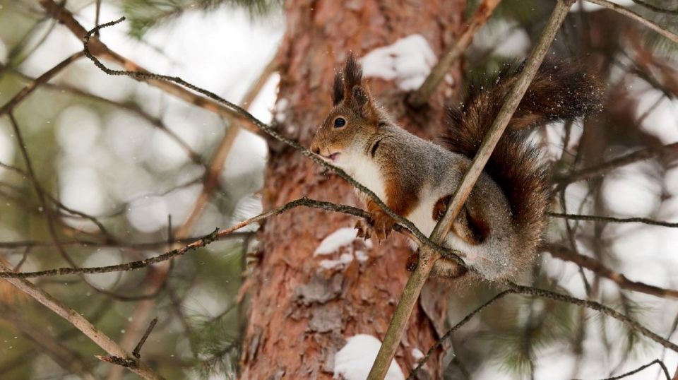 ���� ��������� �� ��������� �������� ������������� �������