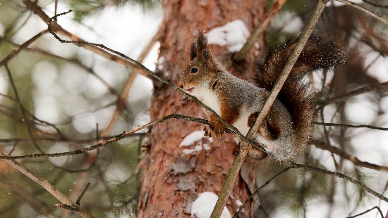 Юные фотографы из Заполярья покорили международный конкурс