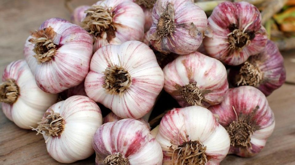 ����� ������ ������� �������: �� ����� ������� � ������� ���������