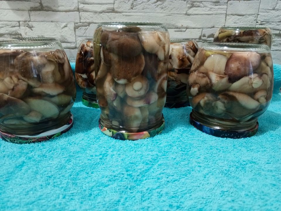 ��������� ����������� ������: ��� ��������� �� ���� � ������