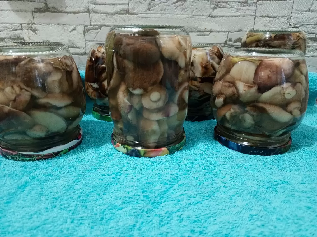 Искусство маринования грибов: как сохранить их вкус и аромат