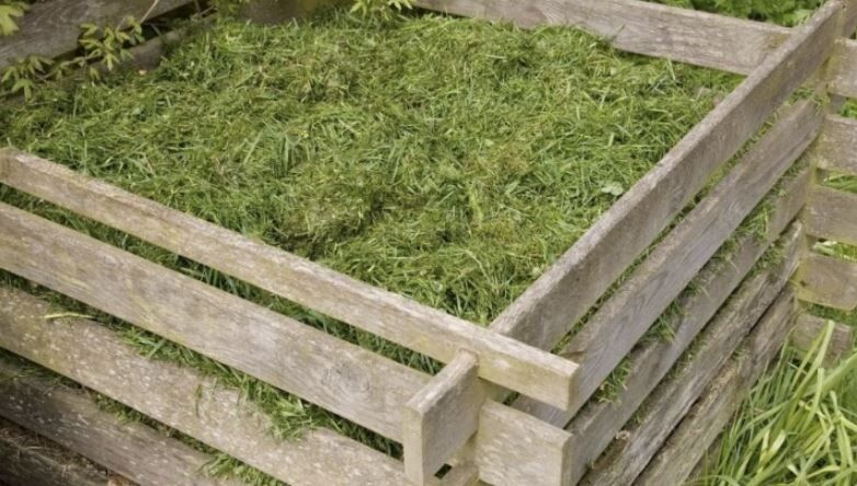 ���� ��������: 10 ����, ������� �� ����� ��������� � �������