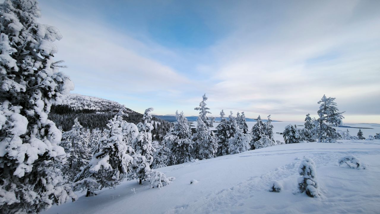 Юные фотографы из Заполярья покорили международный конкурс Юные фотографы из Заполярья покорили международный конкурс