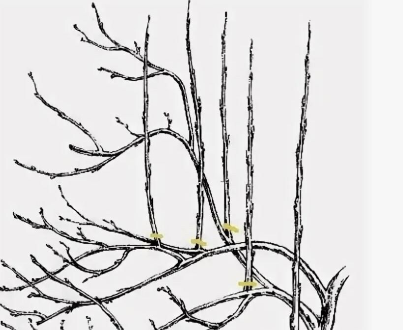 ������� �������: ��� ������� ����� ����� �������� ��������