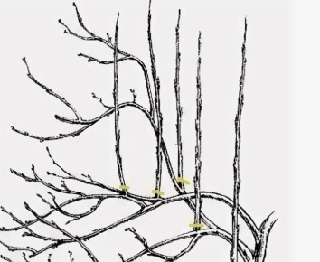 ������� �������: ��� ������� ����� ����� �������� ��������