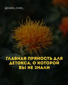 ��� �������� ����� ����� ����� ������� ������� � ������-���������