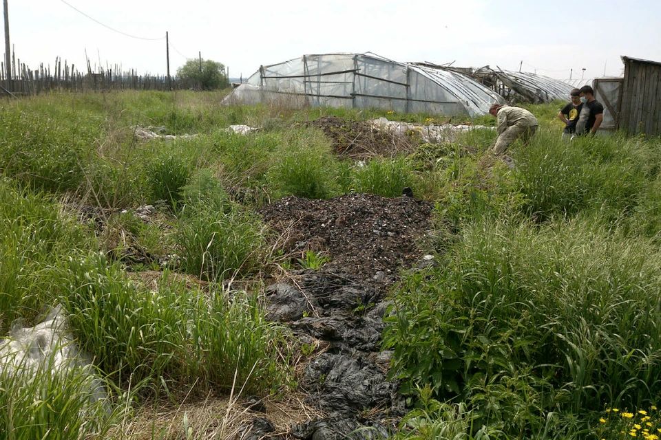 ����� �� �����: ��� ��� ���������� ���������� ����� � ��� ������