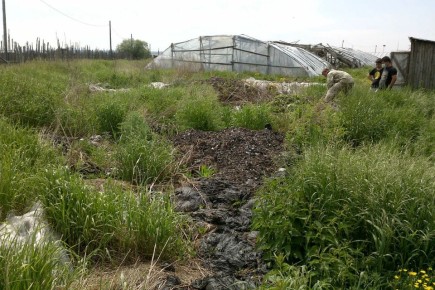 ����� �� �����: ��� ��� ���������� ���������� ����� � ��� ������