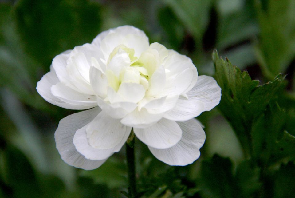 ����������� � �� �������: ��� ��������� ����� � 1 ��������