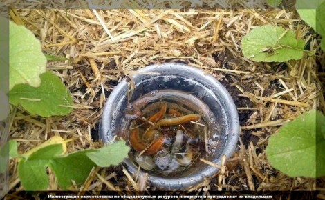 ����������� �� ������� �� ����: ������� � ����������� �������