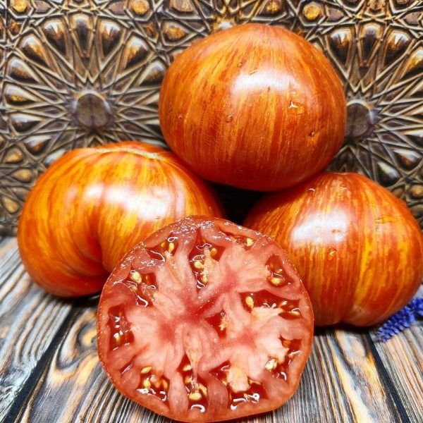 ����� �������� ������: ������� ��������� ������