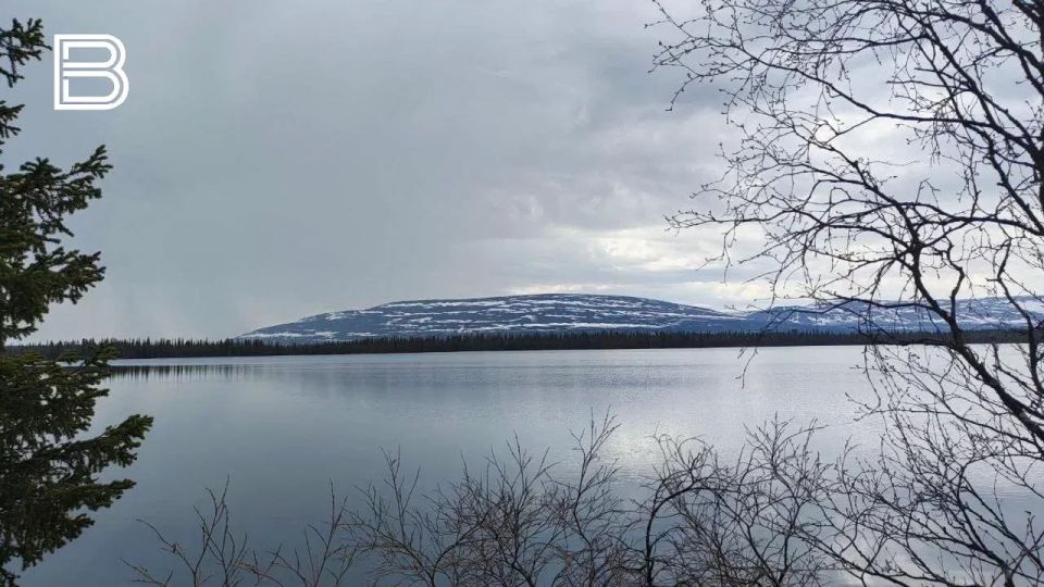 �� ������ ����������� ��������������, 11 ������ � �������� ��������� ��������� ���������� ����������, ��� �������