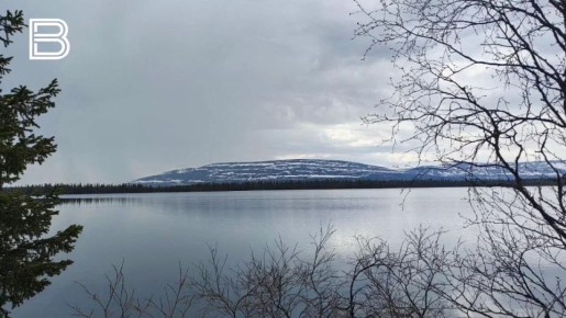 �� ������ ����������� ��������������, 11 ������ � �������� ��������� ��������� ���������� ����������, ��� �������