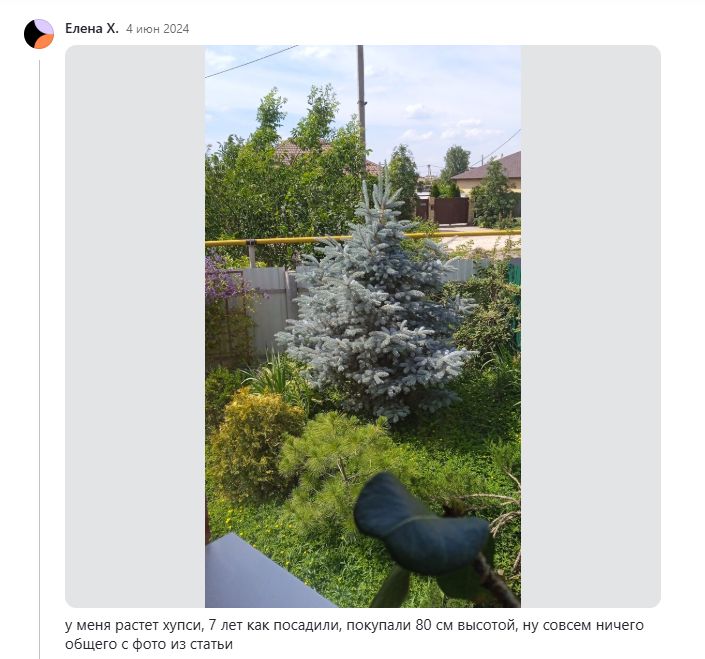 ��� ������� ��������� ������� �������: �������� ������