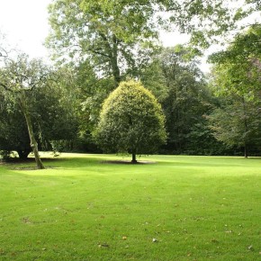 ��� ������� ����������� ����� ��� ������ �������: ��������� ��� �������?