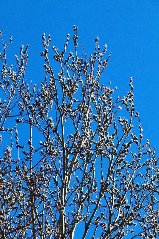 �������� �����: ����� ��� ����� �������� �����