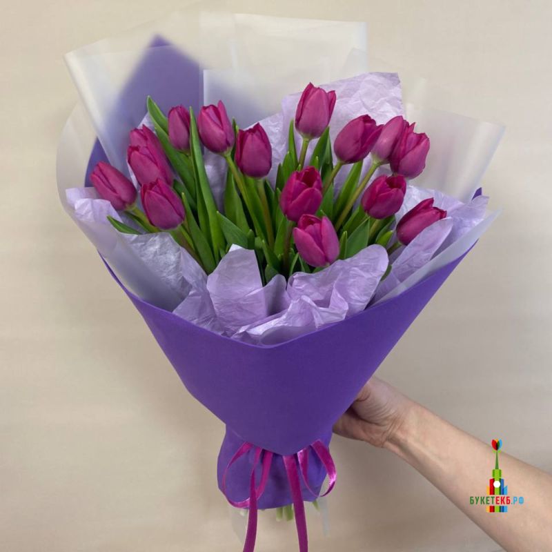 ��������� ������ �����: ������ ��� ������ ��������