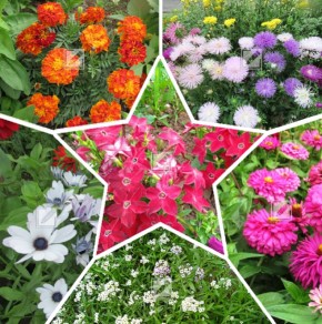 ���������� ����� ����� ������: ������ � �������� ��� �������� �������