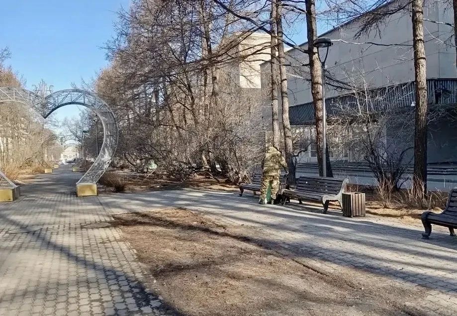 ���� �������: ������ ������������ ����������� � ��������� ������� ���������