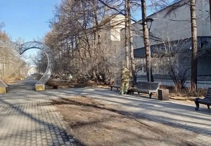 ���� �������: ������ ������������ ����������� � ��������� ������� ���������