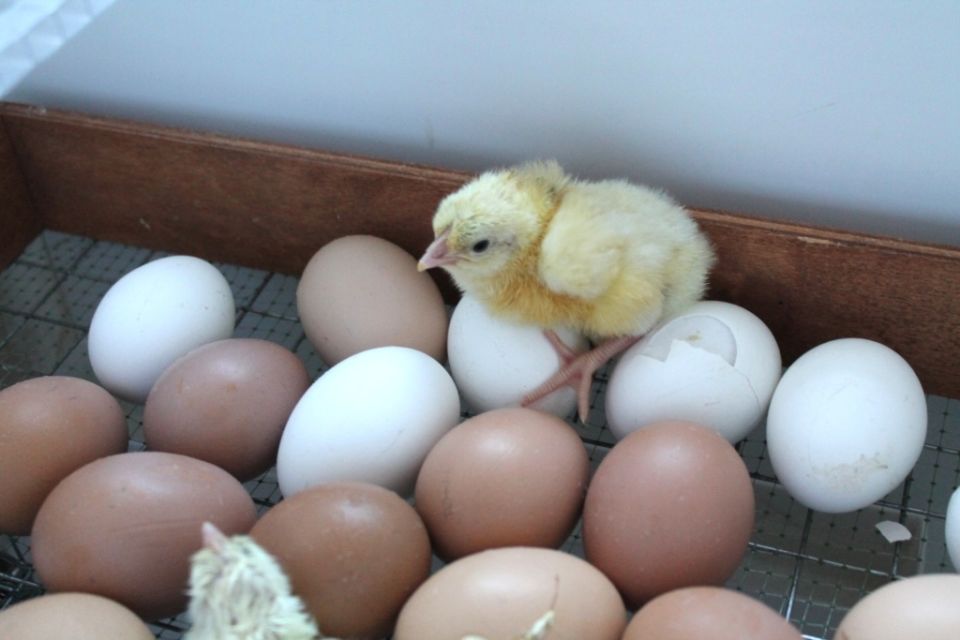 ��� ��������� ������� ������������� ���� � ����������� �� � ���������