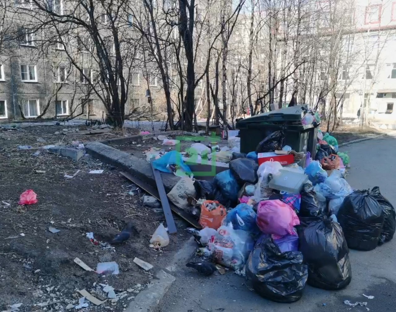 На Карла Маркса в Мурманске выросли горы мусора