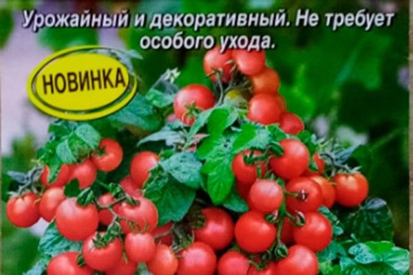 ������ ������-��������: ������� ��������� ����������� � ����� �� ������, ������� �������� ������������