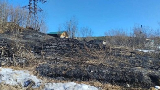 За пал сухой травы можно отправиться в колонию – напомнили жителям Мурманской области