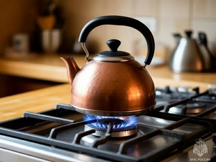 Безопасность на кухне: что делать при запахе газа