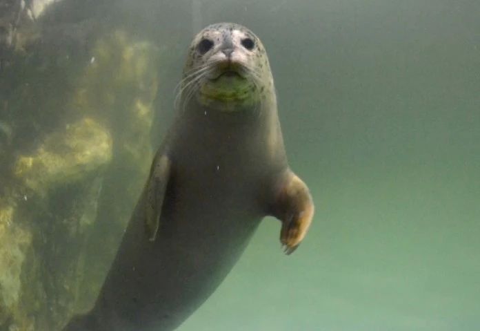 ������� � �� �������? ��� �������� ������ � ������������� �������� � ���������